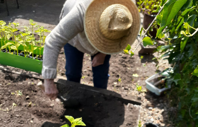 Gardening at Cedars Castle Hill